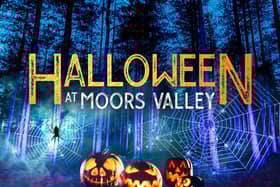 Spine-Tingling Halloween Experience Returns to Hampshire for 2025 Half-Term