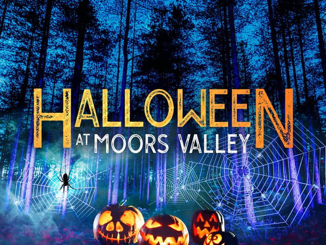 Spine-Tingling Halloween Experience Returns to Hampshire for 2025 Half-Term