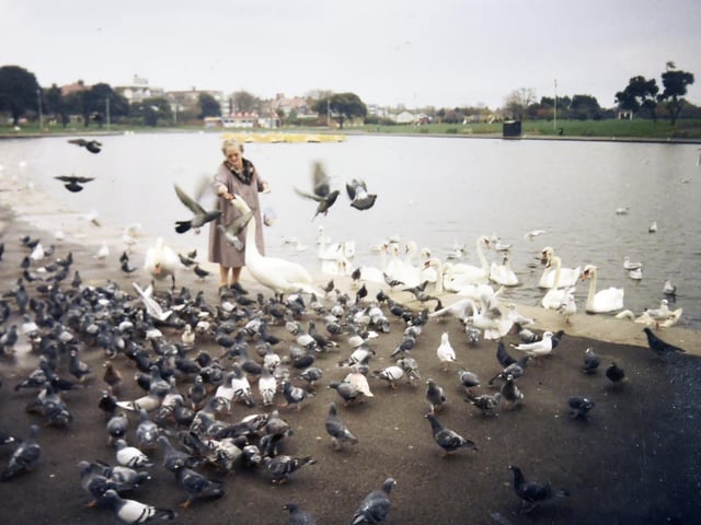 Canoe Lake is a lovely place to unwind, feed the birds or indulge in a refreshing drink or ice cream.
