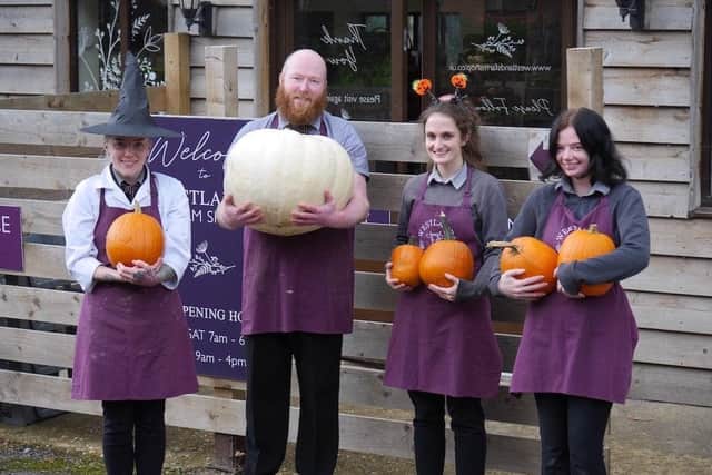 The team at the Westlands Farm Shop, Shedfield, get ready for their Pumpkin Festival