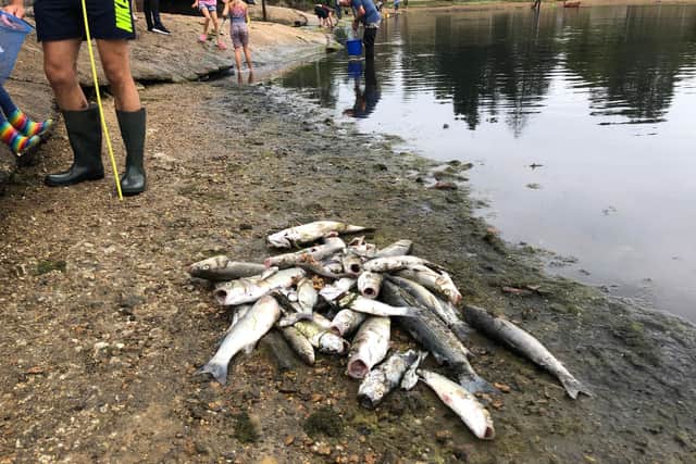 Southern Water has been working to re-oxygenate the water. Picture: Richard Lemmer