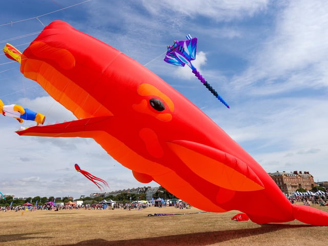 Kite flying enthusiasts had a whale of time on the festival's first day.