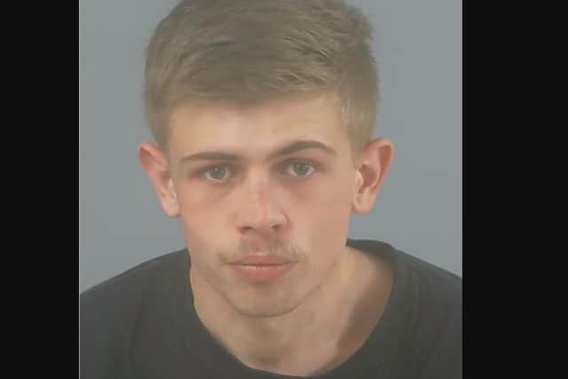 Sonny Horgan has been sentenced to 15 months in prison after being convicted of assaulting two police officers.