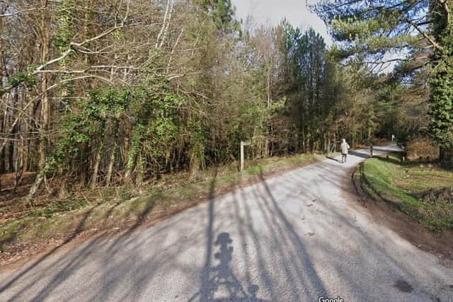 The Forest of Bere West Walk was closed on Sunday morning due to the discovery of a piece of unexploded ordnance