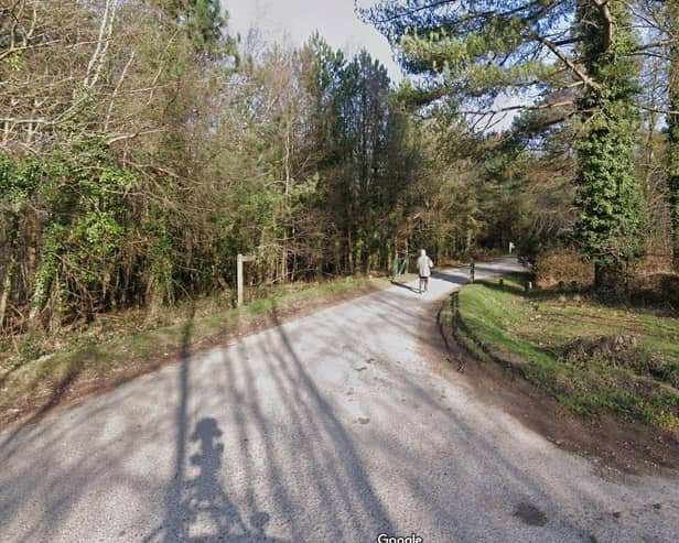 Often called 100 acres because of its location off Hundred Acres Road in Wickham, this walk is a firm family favourite all year round - but is fantastic in the autumn. It has woods to explore, paths to follow, plenty of places to go den building and a play area with a sand pit for the children to enjoy.