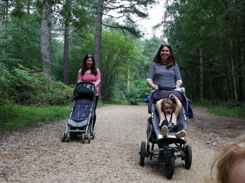 West Walk in The Forest of Bere is a 350 hectare area with trails, a play area and plenty of picnic spots.

Picture by Charlie Hellewell
