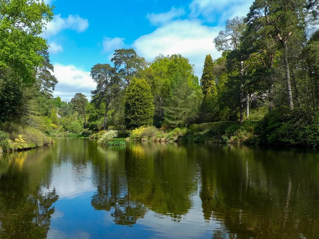 Reflections at Leonardslee by Terry Stubbington