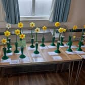 What A Range of Daffodils!