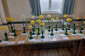 What A Range of Daffodils!