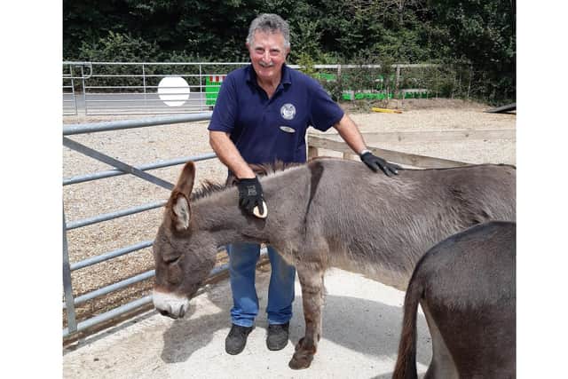Hayling Island Donkey Sanctuary is set to reopen for visitors. Pictured: Senior volunteer Phill Upshall with Boycie