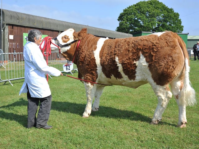 Prized specimens were on display at the show.
