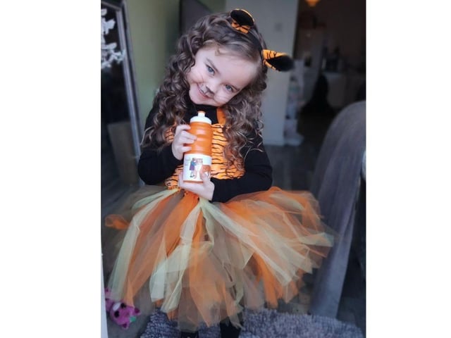 What a fantastic choice of book - The Tiger Who Came To Tea. Happy World Book Day!