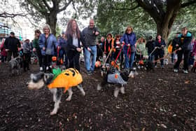 100 South Coast Schnauzer’s, a record number, gathered in Southsea Dog Park as they preparedfor their charity walk along the seafront in 2022. 
Picture: Sam Stephenson.