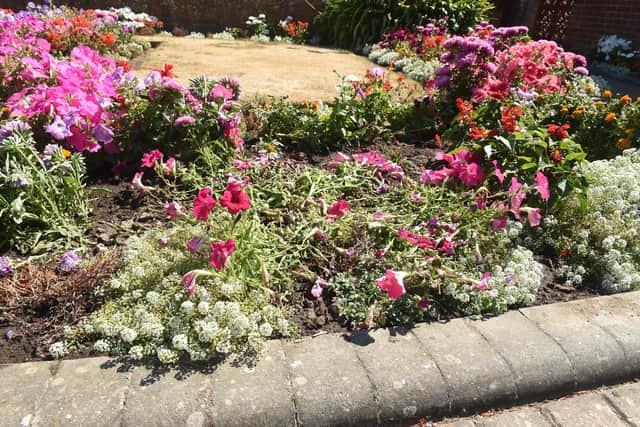 Barbara Holton (85) from Stubbington, was left feeling sad after a car flattened some of her plants after they mistook her address for another address.
Picture: Sarah Standing (120822-1737)