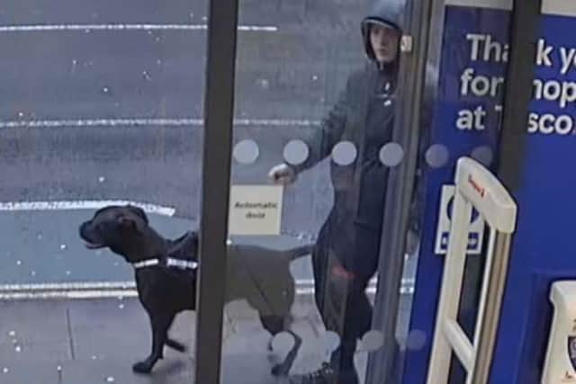A woman in her 40s was attacked by a dog near Tesco Express in Kingston Road, Buckland. The animal bit her on the arm. Picture: Hampshire and Isle of Wight Constabulary