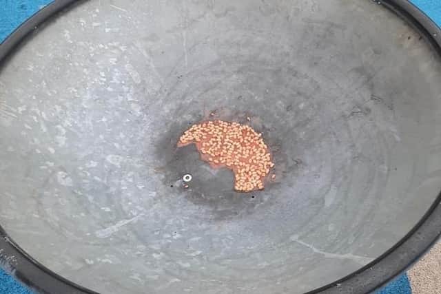 Baked beans had been left smeared on play equipment in a children's park, sparking confusion online. Photo: Facebook