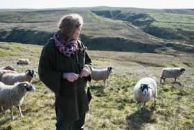 Yorkshire Shepherdess Amanda Owen.  (Photo by Ian Forsyth/Getty Images)