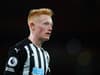 15 free agents Portsmouth could still sign including former Newcastle United and Aston Villa stars - gallery