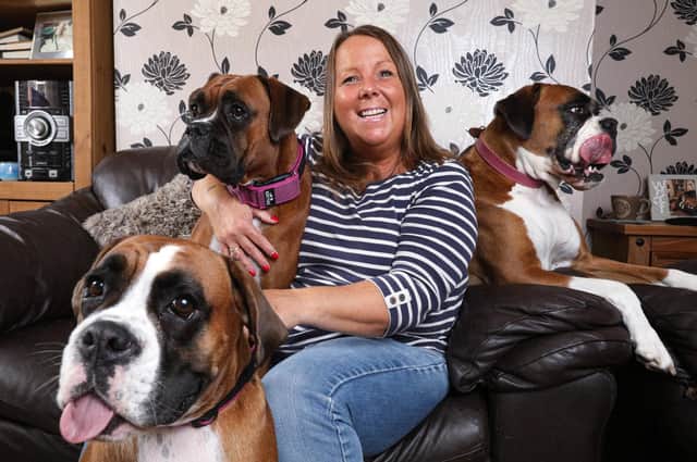 Tracey Devenish has won The News' One Summers Day 2020 competition with a picture of her dogs enjoying the sun. She is pictured at home in Milton with her dogs, Violet, Olive and Ethel 
Picture: Chris Moorhouse   (310820-04)