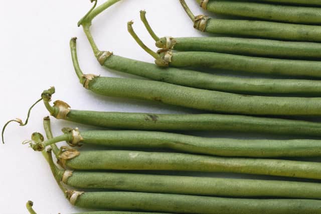 French beans - not as prolific as runners, says Brian.