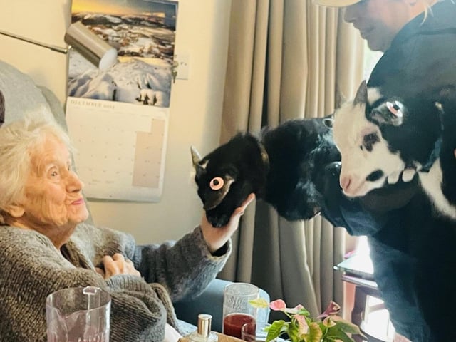 Denmead Grange care home residents had some unusual visitors as they were greeted by pygmy goats from Em’s Friendly Farm.