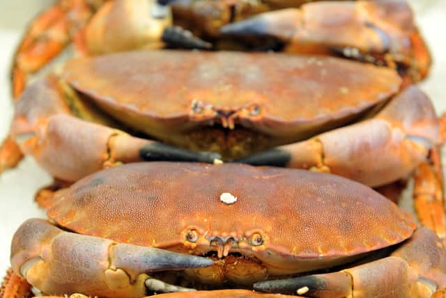 Cooked Crabs. Picture: Steve Reid 110172-271