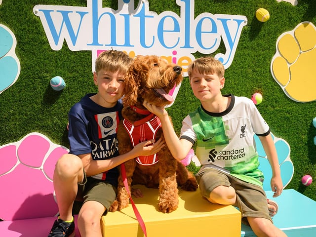 Lucas and Ethan Burningham sit atop the podium with Rufus.Picture: Keith Woodland (250521-72)