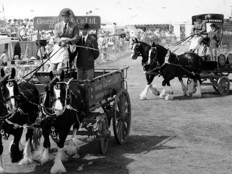 George Gale & Co's horse drawn wagon followed by Ringwood Brewery at the Southsea Show in August 1995. The News PP4099