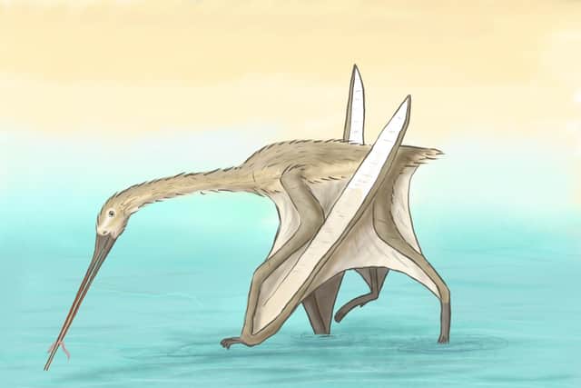 An artist's impression of what the pterosaur species might have looked like. Picture: Megan Jacobs, University of Portsmouth