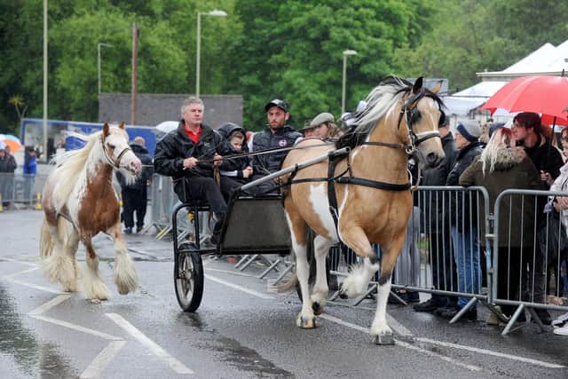 The annual Wickham Horse Fair took place on Friday, May 20 2022 in Wickham Square and along Winchester Road, Wickham.

Picture: Sarah Standing