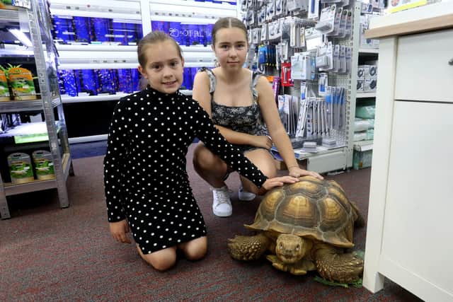 Amy, 10 and Libby, 13, hanging out with Winston. Picture: Sam Stephenson