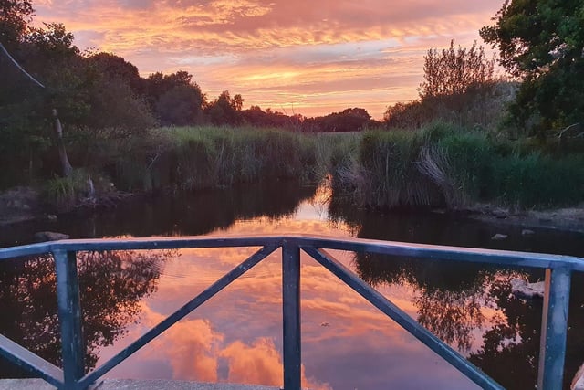 A lovely view of the sunset in Alver Valley, Gosport. Credit: Rachel Walters.
