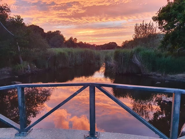 A lovely view of the sunset in Alver Valley, Gosport. Credit: Rachel Walters.