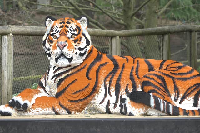 Life-sized models of tigers and cubs will be built at Gunwharf Quays during February half-term.