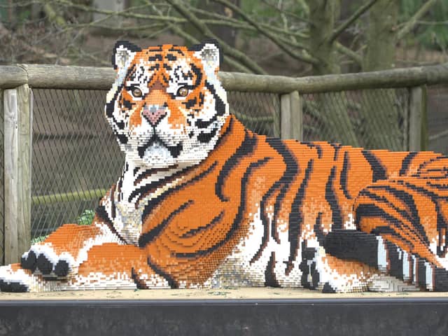 Life-sized models of tigers and cubs will be built at Gunwharf Quays during February half-term.