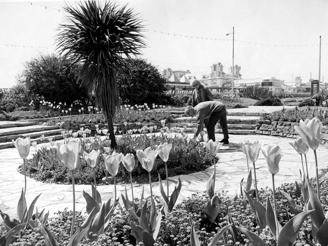 The flowers beside the D-Day memorial in Southsea, July 1982. The News PP5177