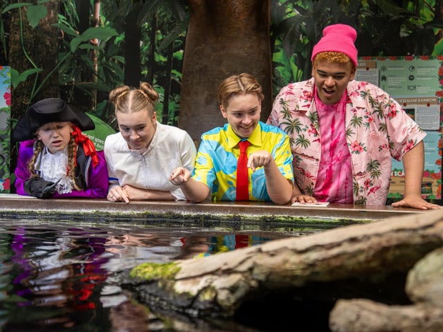 Pictured - Casper Horn, 16 (SpongeBob Squarepants), Stanley Pearl (Patrick), Ella Burgos, 17 (Sandy)  and Jemima Rees, 14 (Patchy the Pirate)Photos by Alex Shute