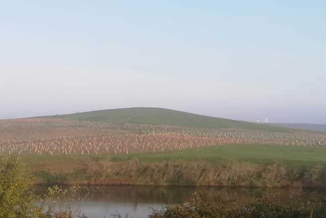 Simon Hughes from Portsmouth turned Horsea Island into a sea of red after placing 1,000 poppies in a field.