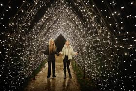 Marwell Zoo's light installation Glow - the light tunnel Picture: Paul Collins for Marwell Zoo