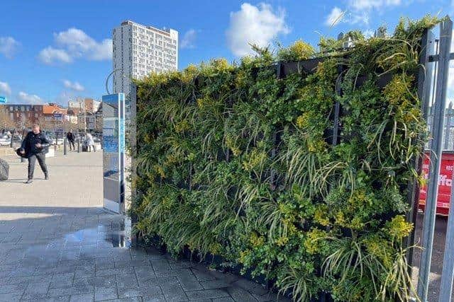 The new living wall at Portsmouth Harbour