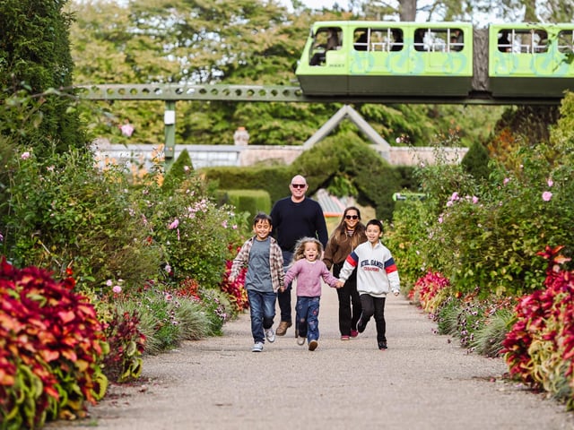 Autumn October half-term days out at Beaulieu