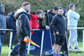 Paulsgrove manager Wayne Grant. Picture: Chris Moorhouse