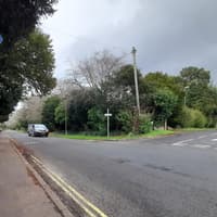 Tree falls on person in Havant sparking massive emergency service response
