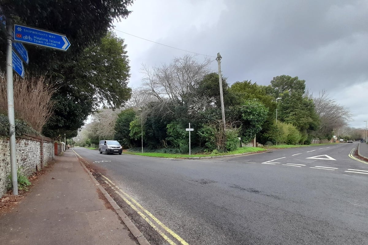 Tree falls on person in Havant sparking massive emergency service response