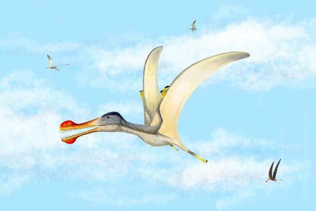 What scientists believe the newly discovered species of pterosaurs would have looked like.