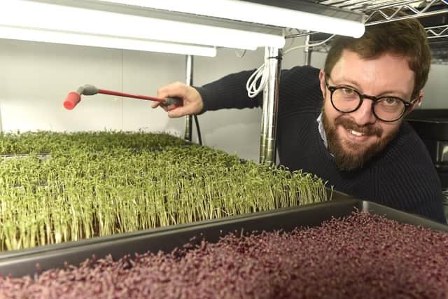 Adam Brown from Portsmouth, owner of Gaia's Utopia Ltd, a microgreens indoor farm he set up in January 2023.
Picture: Sarah Standing