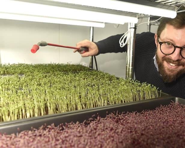 Adam Brown from Portsmouth, owner of Gaia's Utopia Ltd, a microgreens indoor farm he set up in January 2023.

Picture: Sarah Standing