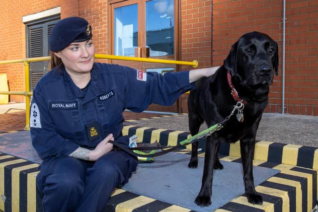 A sailor pictured with Lora Fachie's guide dog at Portsmouth Naval Base. Photos by Alex Shute