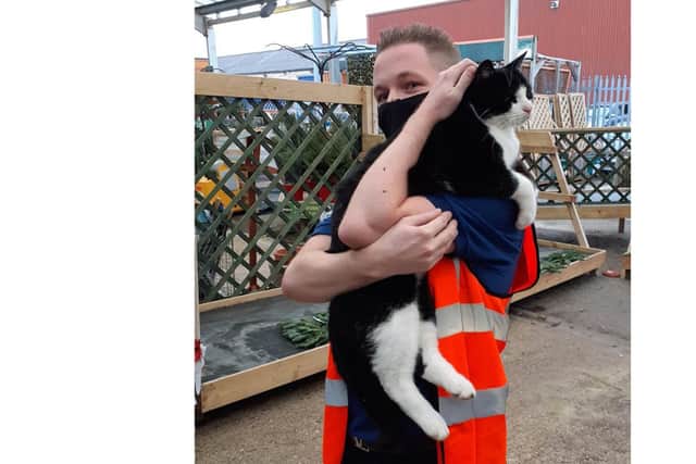 Boo with staff member Danny Flanagan. Picture: Cats Protection Gosport
