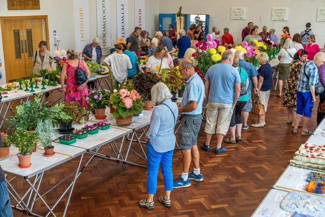 The very popular Purbrook Horticultural Society summer show. Picture: Mike Cooter (210822)